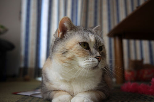 本当にいる。_d0355333_12533772.jpg