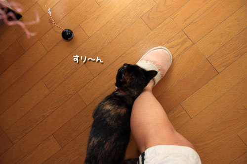 何げないけれど_d0355333_12533941.jpg