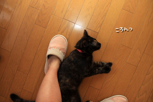 何げないけれど_d0355333_12533962.jpg