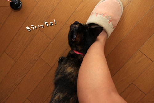 何げないけれど_d0355333_12533971.jpg