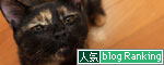 何げないけれど_d0355333_12534098.jpg