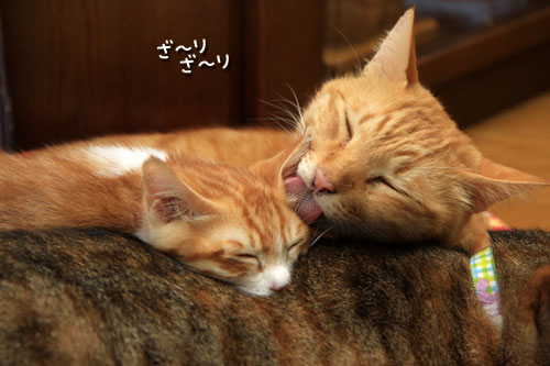 てんこもり_d0355333_12534135.jpg