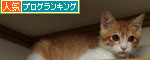 勝者は誰?_d0355333_12534595.jpg