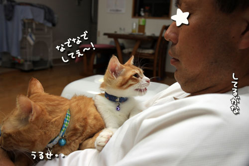 似てきた?_d0355333_12534694.jpg