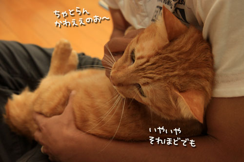 慧ちゃんのお見合い!_d0355333_12534797.jpg
