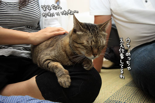 慧ちゃんのお見合い!_d0355333_12534814.jpg