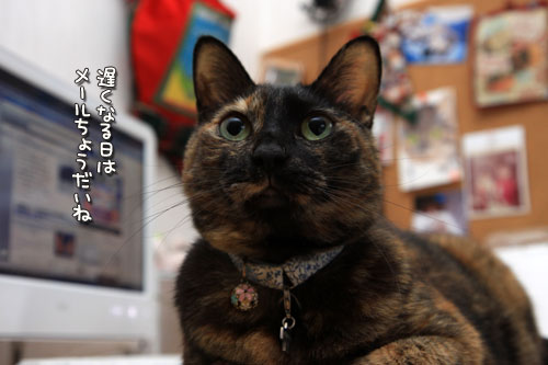 ドキドキした_d0355333_12535080.jpg