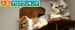 ドキドキした_d0355333_12535140.jpg