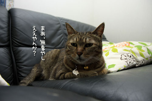 ドキドキした_d0355333_12535177.jpg