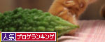 ふしぎなゴーヤー。_d0355333_12535564.jpg