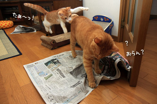 新聞遊びも伝授!_d0355333_12540205.jpg