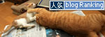 新聞遊びも伝授!_d0355333_12540246.jpg