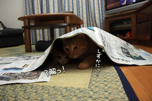 新聞遊びも伝授!_d0355333_12540261.jpg