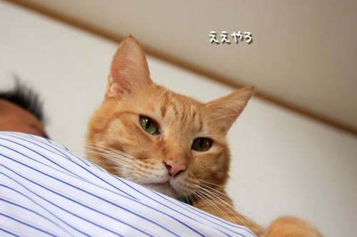 甘えん坊おじさん_d0355333_12542026.jpg