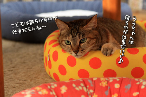 はかどらない片付け。_d0355333_12542184.jpg
