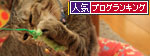 はかどらない片付け。_d0355333_12542226.jpg
