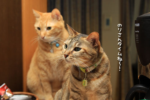 目が輝く時。_d0355333_12543636.jpg