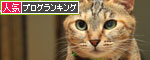 目が輝く時。_d0355333_12543741.jpg