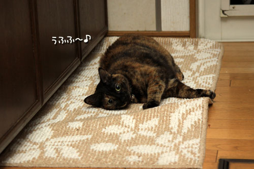ゲロリストは誰だ?_d0355333_12543857.jpg