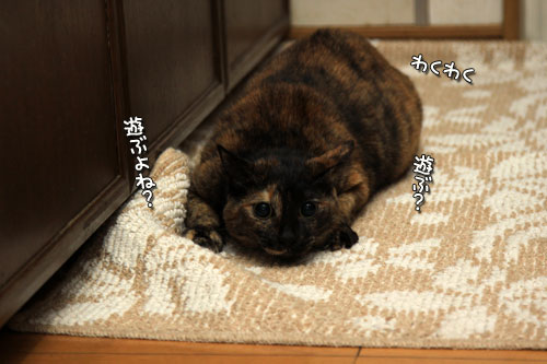 ゲロリストは誰だ?_d0355333_12543870.jpg