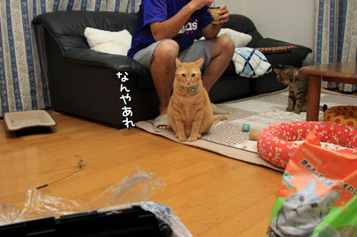 準備が整ってきた★前編_d0355333_12543932.jpg