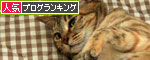 なまけもの_d0355333_12545586.jpg