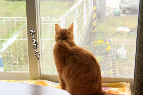 のんびり休日なので_d0355333_12545706.jpg