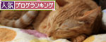 のんびり休日なので_d0355333_12545821.jpg