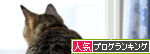 警備の定位置。_d0355333_12550035.jpg