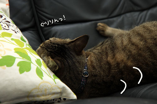 我に返る_d0355333_12550122.jpg