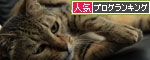 歯石とりに・・・_d0355333_12550230.jpg