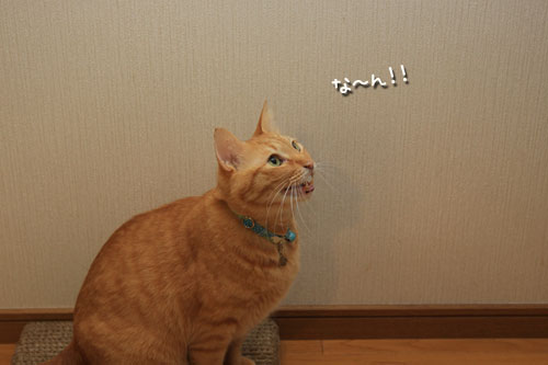 ちょっとだけ待ってて_d0355333_12550647.jpg