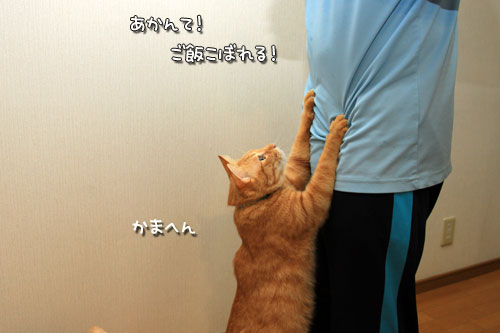 ちょっとだけ待ってて_d0355333_12550652.jpg