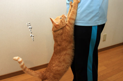 ちょっとだけ待ってて_d0355333_12550677.jpg