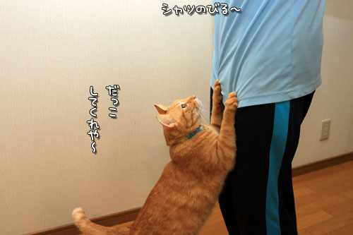 ちょっとだけ待ってて_d0355333_12550748.jpg