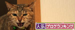 つかず、離れず。_d0355333_12551149.jpg