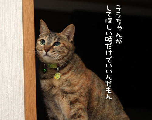 つかず、離れず。_d0355333_12551196.jpg