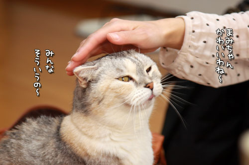 B1グランプリ!_d0355333_12551451.jpg