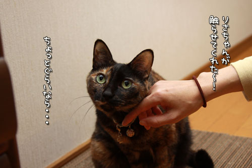 B1グランプリ!_d0355333_12551524.jpg