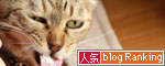 B1グランプリ!_d0355333_12551599.jpg