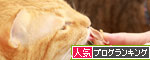 にゃんず接待炸裂!_d0355333_12551602.jpg