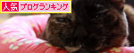不測の事態に備えて★追記あり_d0355333_12551703.jpg