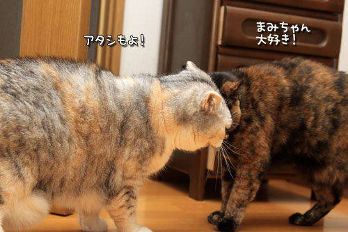 ごっつんこ_d0355333_12551852.jpg