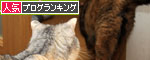 ごっつんこ_d0355333_12551862.jpg