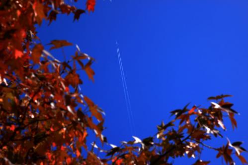 青い空が目にしみる_d0355333_12551901.jpg