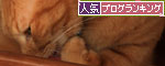 犯にゃんは誰だ!_d0355333_12552224.jpg