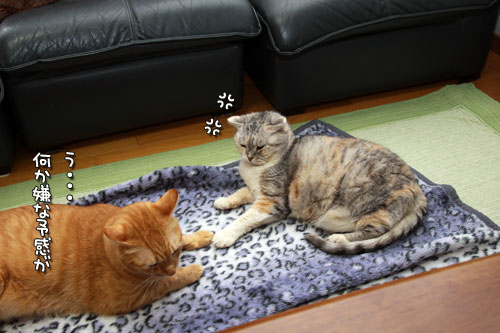 この線からは・・・!_d0355333_12553500.jpg