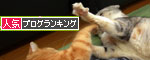 この線からは・・・!_d0355333_12553516.jpg