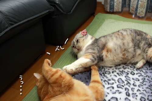この線からは・・・!_d0355333_12553586.jpg