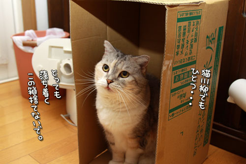 たて向きなのに?_d0355333_12554360.jpg